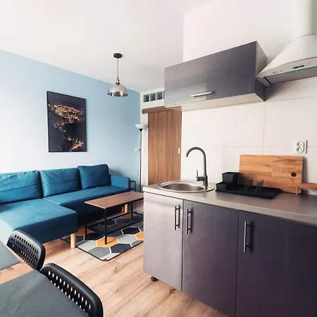 Проживание в семье Sudecka