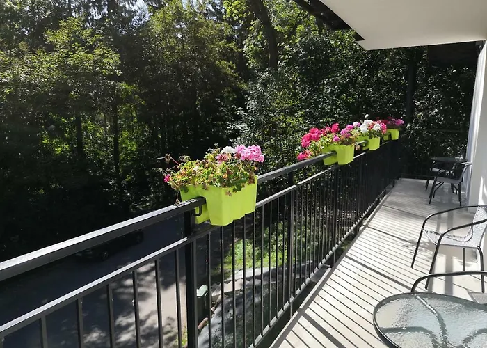 Sudecka Duszniki Zdroj